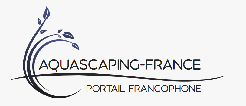 Aquascaping france